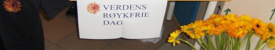 Temabilde folkehelse Temabilde folkehelse